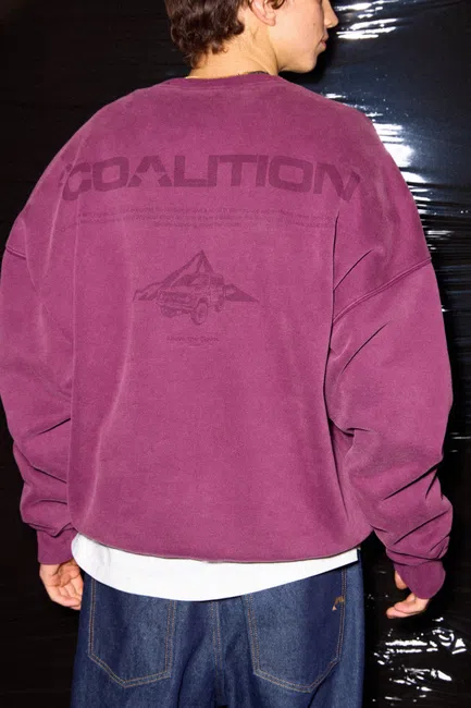 Coalition session 2, photograph 15 by Prot Urban